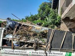 Best Office Cleanout  in Irmo, SC